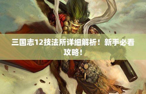 三国志12技法所详细解析！新手必看攻略！