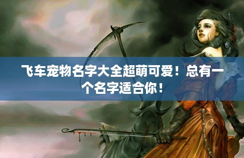 飞车宠物名字大全超萌可爱！总有一个名字适合你！