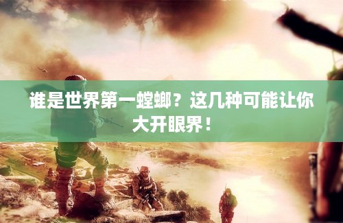 谁是世界第一螳螂？这几种可能让你大开眼界！