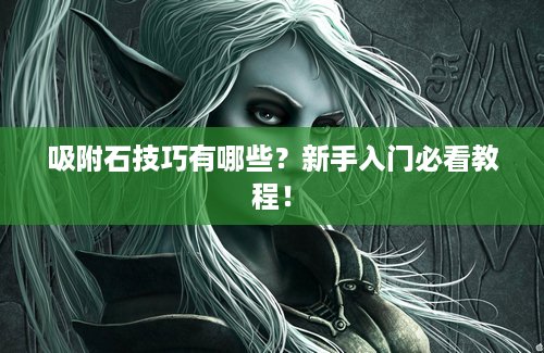 吸附石技巧有哪些？新手入门必看教程！