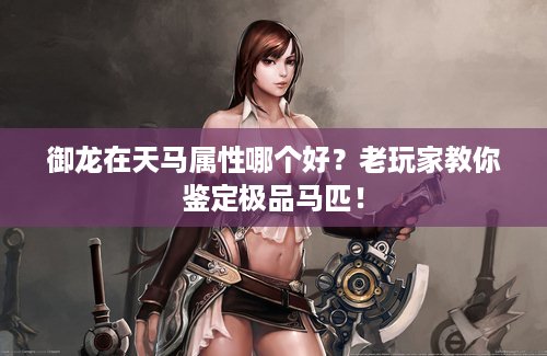 御龙在天马属性哪个好？老玩家教你鉴定极品马匹！