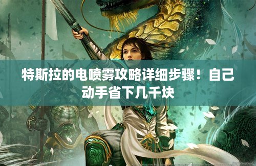 特斯拉的电喷雾攻略详细步骤！自己动手省下几千块