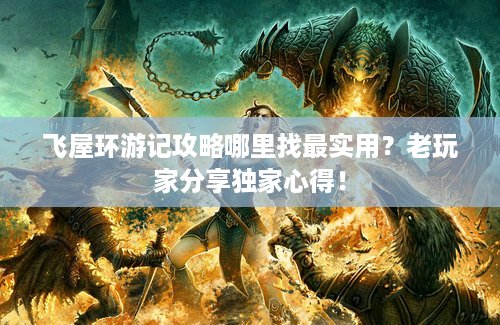 飞屋环游记攻略哪里找最实用？老玩家分享独家心得！