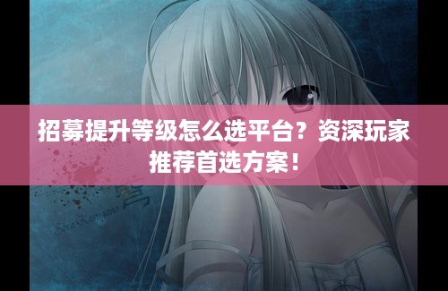 招募提升等级怎么选平台？资深玩家推荐首选方案！