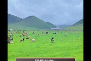 烟林牧场在哪儿呀？本地人带你轻松找到它！