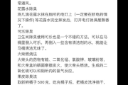 臭作攻略是什么？这份入门教学让你轻松上手