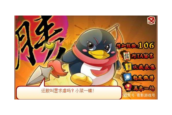 q宠结婚要注意什么?这些隐藏条件没达标就白忙