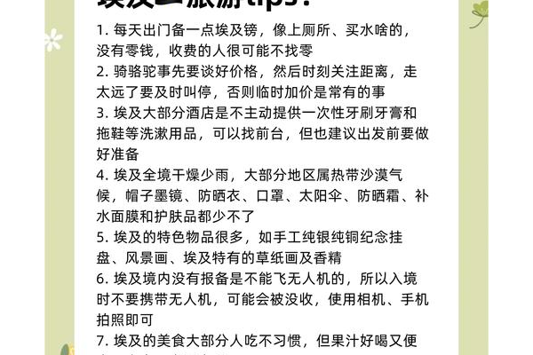 埃及法老密室攻略如何玩更顺？加点小贴士提升体验！