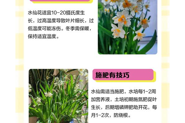小花仙怎么赚仙豆轻松得？种花养精灵高效秘诀