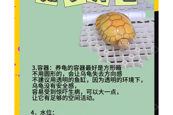 灵龟论坛有什么功能(核心亮点揭秘新手必看)