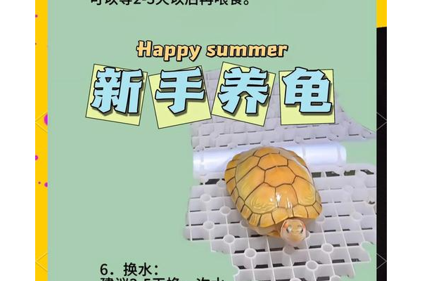 灵龟论坛有什么功能(核心亮点揭秘新手必看)