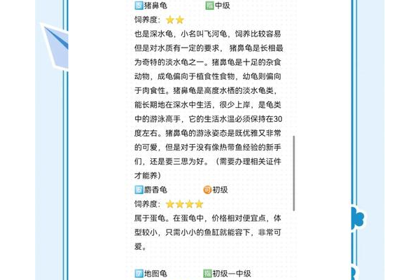 灵龟论坛有什么功能(核心亮点揭秘新手必看)