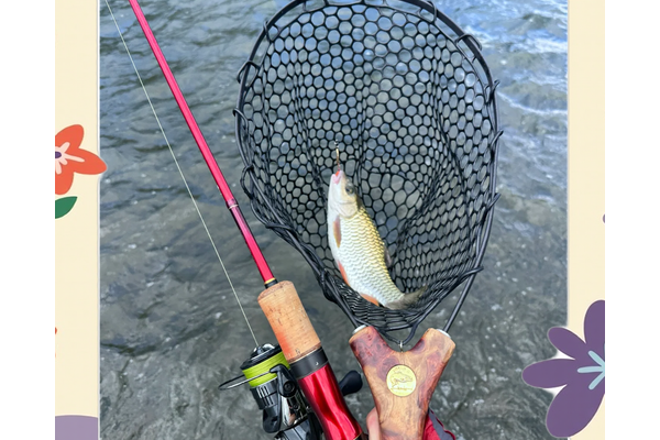 藏帆暗礁附近能钓鱼吗？老渔民分享绝佳钓点